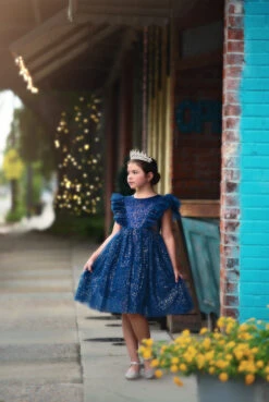 MILLY DRESS SPARKLE NAVY -Clothing Promotion Store 10 1