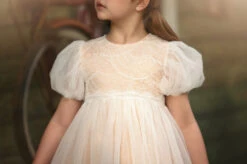 JACQUELINE GOWN CHAMPAGNE -Clothing Promotion Store 100 3