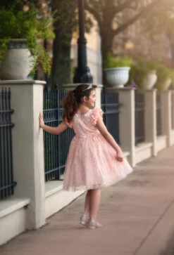 NATALIA DRESS PINK -Clothing Promotion Store 104 3