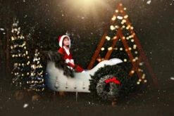 SANTA'S LITTLE HELPER -Clothing Promotion Store 121 4