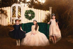 MARIPOSA GOWN CHAMPAGNE -Clothing Promotion Store 122 4