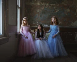 MARIPOSA GOWN BLUE -Clothing Promotion Store 127 12