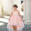 BELLE GOWN PEACHY PINK -Clothing Promotion Store 135 db3cec95 362b 4d0a 8e5e 25e3c427322f