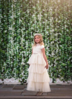 ARIANA GOWN SPARKLE IVORY -Clothing Promotion Store 152 1 75e324b2 17e2 45d4 ac44 437ceeb66de6