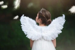 FEATHER WINGS -Clothing Promotion Store 154 1