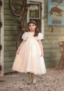 JACQUELINE GOWN CHAMPAGNE -Clothing Promotion Store 15 b7c3e2d7 2143 4872 bd21 169b21e4dd58