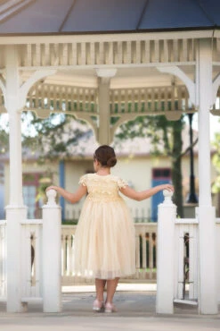 KATRINA DRESS BUTTERSCOTCH -Clothing Promotion Store 172 3