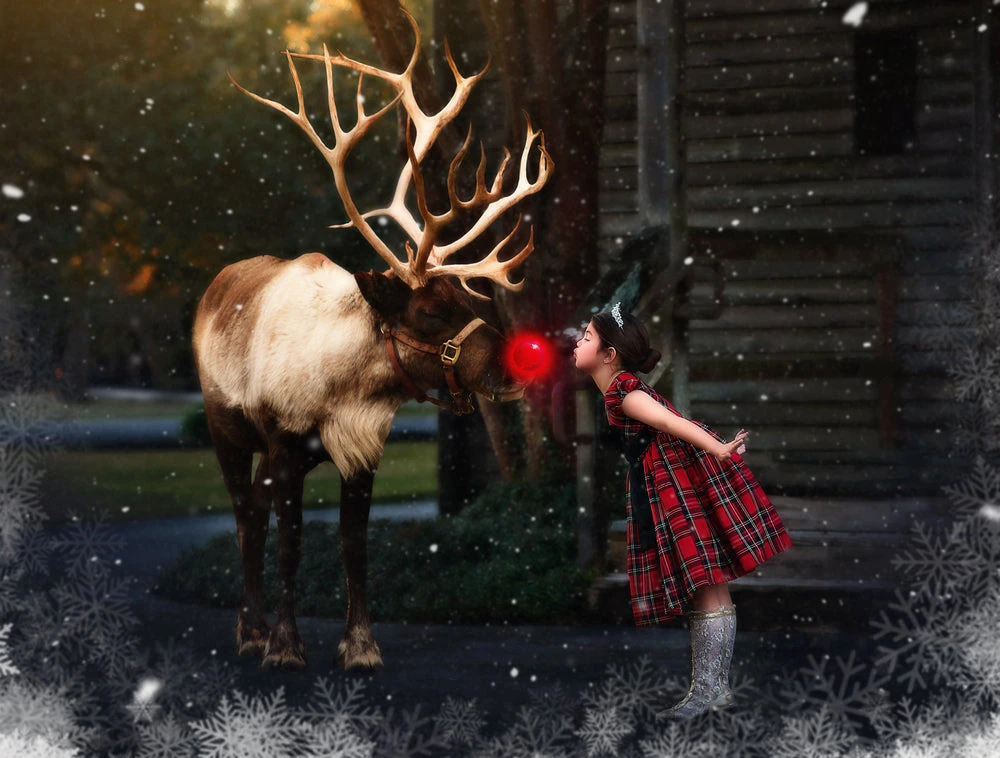 ISLA STEWART TARTAN DRESS 4 ISLA STEWART TARTAN DRESS - Image 2