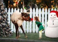 THE ELF -Clothing Promotion Store 186 2