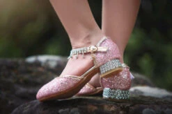 REGAL PRINCESS SHOE 8 REGAL PRINCESS SHOE -Clothing Promotion Store 189 2