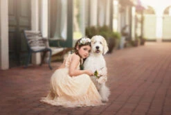 GABBY FLORAL HEADBAND -Clothing Promotion Store 197 2