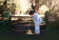 ASHFORD SEERSUCKER 3 PC. SUIT -Clothing Promotion Store 2 2 ae6f2966 1359 4040 8710 9f5c8f10730b