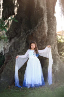 PRINCESS SIGRID GOWN -Clothing Promotion Store 205 3