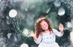 PRINCESS SIGRID GOWN -Clothing Promotion Store 205 7