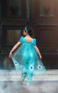 PEACOCK GENIE PRINCESS -Clothing Promotion Store 240 3