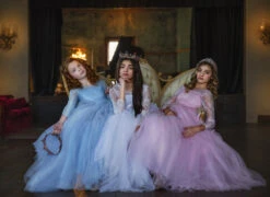 MARIPOSA GOWN PINK -Clothing Promotion Store 242 2