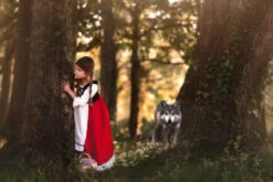 LUXE RED RIDING HOOD DRESS & CAPE SET -Clothing Promotion Store 279 3