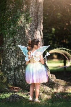 FAIRY DRESS, WINGS & WAND 3PC. SET -Clothing Promotion Store 280 4