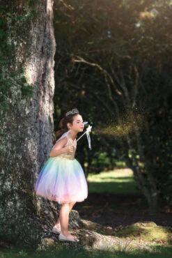 FAIRY DRESS, WINGS & WAND 3PC. SET -Clothing Promotion Store 280 5