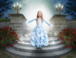 PRINCESS CAROLINE GOWN & GLOVE SET -Clothing Promotion Store 286 4