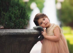 ALLESSANDRA DRESS BUTTERSCOTCH -Clothing Promotion Store 297 3 e59cf353 0eef 4a2d 9120 4dcc7ca29630