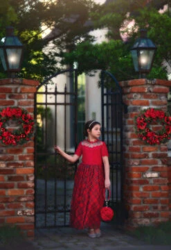 LA ROSA ROJA SOFT CLUTCH -Clothing Promotion Store 302 3