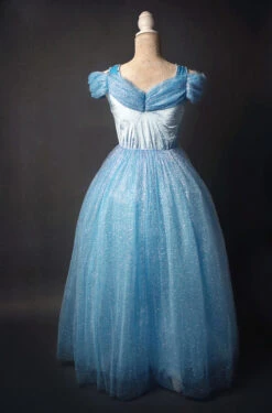 QUEEN OF THE KINGDOM GOWN FOR WOMEN -Clothing Promotion Store 310 3