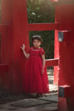 GIOVANNA GOWN CRIMSON 9 GIOVANNA GOWN CRIMSON -Clothing Promotion Store 331 1