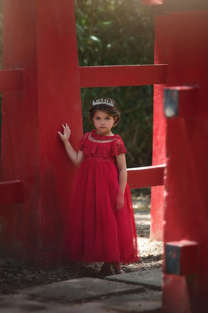 GIOVANNA GOWN CRIMSON 6 GIOVANNA GOWN CRIMSON - Image 4