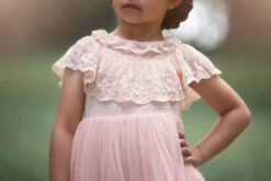 GIOVANNA GOWN PINK -Clothing Promotion Store 344 3