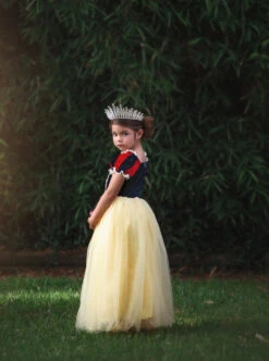 FLASH SALE PRINCESS KATE DRESS -Clothing Promotion Store 348 3