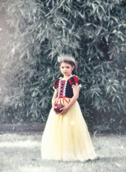 FLASH SALE PRINCESS KATE DRESS -Clothing Promotion Store 348 4