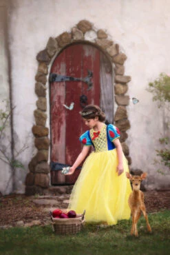 GENEVIEVE COSTUME -Clothing Promotion Store 349 4