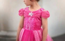 FLASH SALE PINK PRINCESS DRESS COSTUME -Clothing Promotion Store 350 2