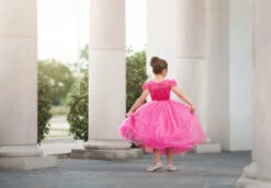 FLASH SALE PINK PRINCESS DRESS COSTUME -Clothing Promotion Store 350 3