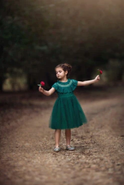 GIOVANNA DRESS EMERALD -Clothing Promotion Store 351 1