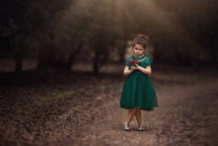 GIOVANNA DRESS EMERALD -Clothing Promotion Store 351 4