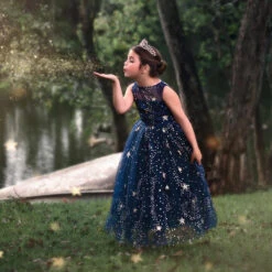 ANTOINETTE GOWN NAVY -Clothing Promotion Store 3 257ece15 39a6 4616 a36c ba19ccfa0bb5