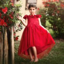 BELLE GOWN CRIMSON -Clothing Promotion Store 3 87870348 0f2e 4505 a9bc 6cf284586666