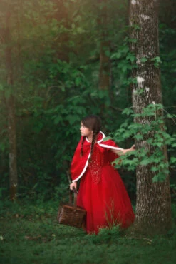 LITTLE RED RIDING HOOD -Clothing Promotion Store 415 4