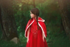 LITTLE RED RIDING HOOD -Clothing Promotion Store 415 6