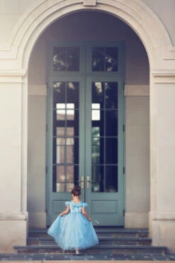 FLASH SALE QUEEN OF THE KINGDOM PRINCESS DRESS COSTUME -Clothing Promotion Store 417 4