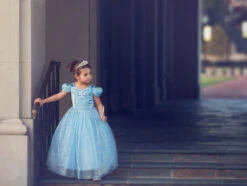 FLASH SALE QUEEN OF THE KINGDOM PRINCESS DRESS COSTUME -Clothing Promotion Store 417 6