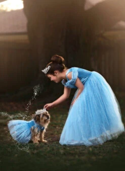 FLASH SALE QUEEN OF THE KINGDOM PRINCESS DRESS COSTUME -Clothing Promotion Store 417 8