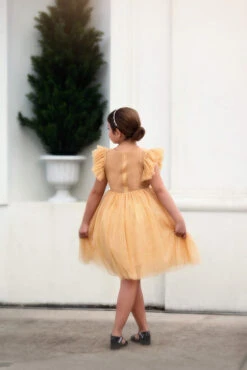 MILLY DRESS SPARKLING CHAMPAGNE -Clothing Promotion Store 52 3