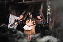 MILLY DRESS SPARKLING CHAMPAGNE -Clothing Promotion Store 53 5