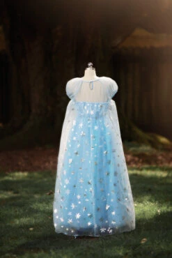 ICE QUEEN GOWN FOR WOMEN -Clothing Promotion Store 60 3