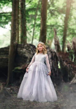 MARIPOSA GOWN SILVER -Clothing Promotion Store 65 4