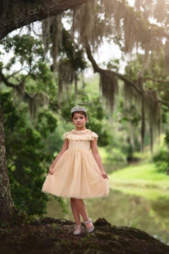 GIOVANNA DRESS BUTTERSCOTCH -Clothing Promotion Store 71 1 a37c6a66 173a 4942 a916 37b0e63c6c10