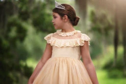 GIOVANNA DRESS BUTTERSCOTCH -Clothing Promotion Store 71 2 3b606153 c3b9 4070 934d 0d87dd9ef0e8